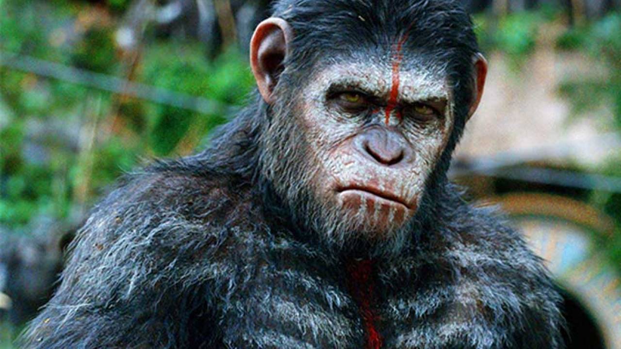 Dica para maratonar | Conheça a saga completa de Planeta dos Macacos