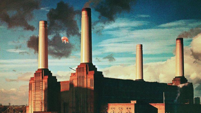 Pink Floyd | A história por trás do porco flutuante do álbum Animals