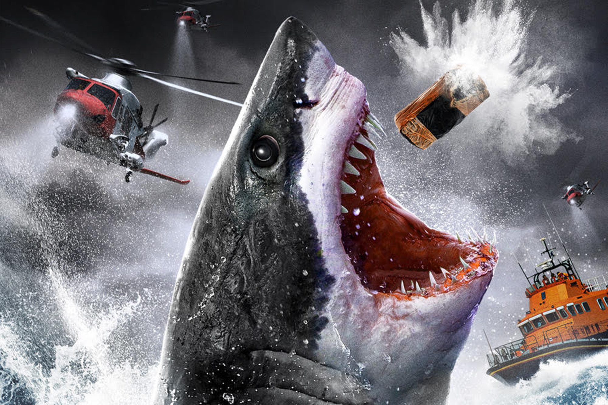 Cocaine Shark | Produção inspirada em Urso do Pó Branco ganha teaser