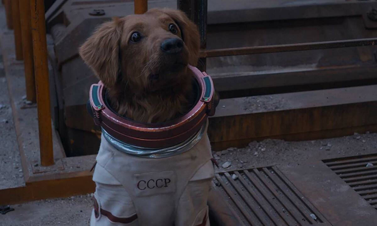 Guardiões da Galáxia Vol. 3 | James Gunn divulga foto do Cosmo
