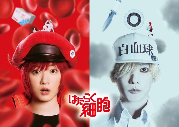 Live-action de Cells at Work!: Teaser Revela Elenco Principal e Estreia no Japão