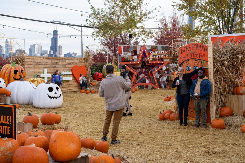 Encante-se com a Beleza e o Sabor do Outono em Chicago