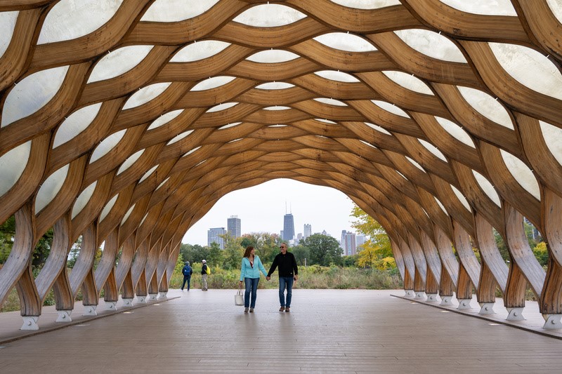 Encante-se com a Beleza e o Sabor do Outono em Chicago