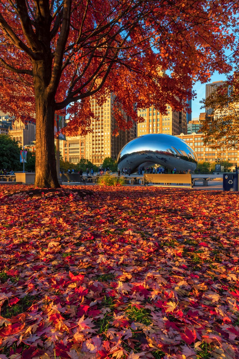 Encante-se com a Beleza e o Sabor do Outono em Chicago