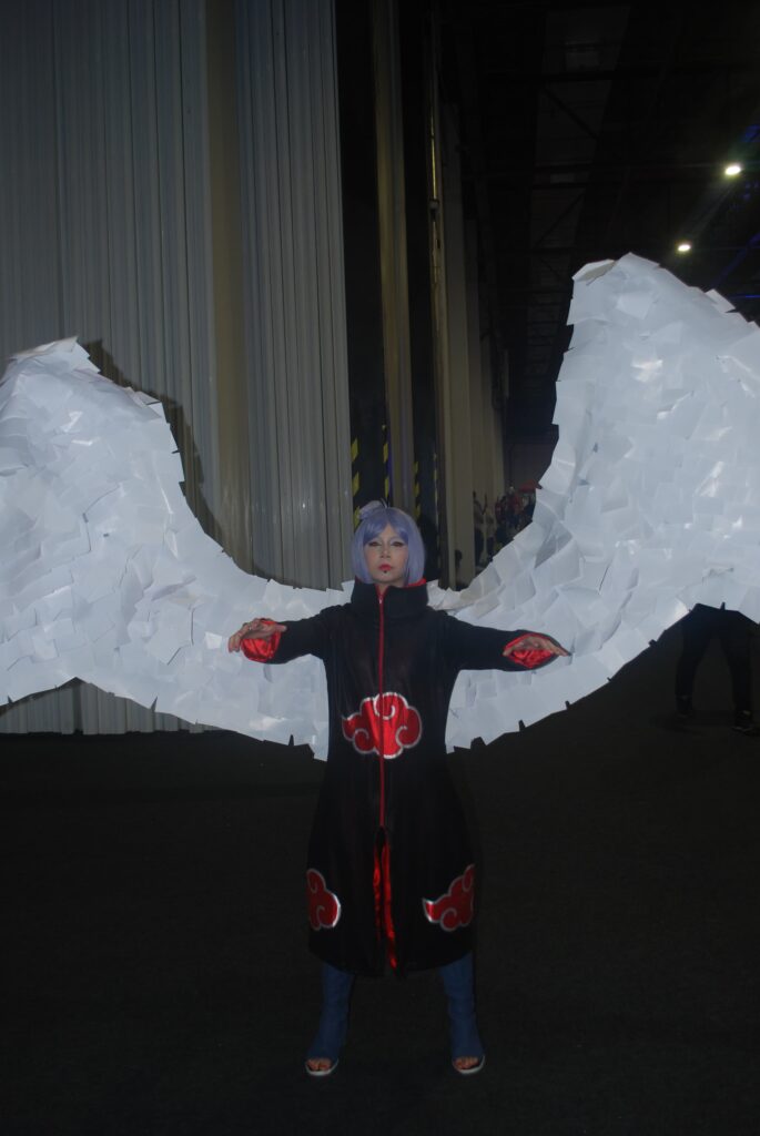 Confira Os Melhores Cosplays da BGS 2024