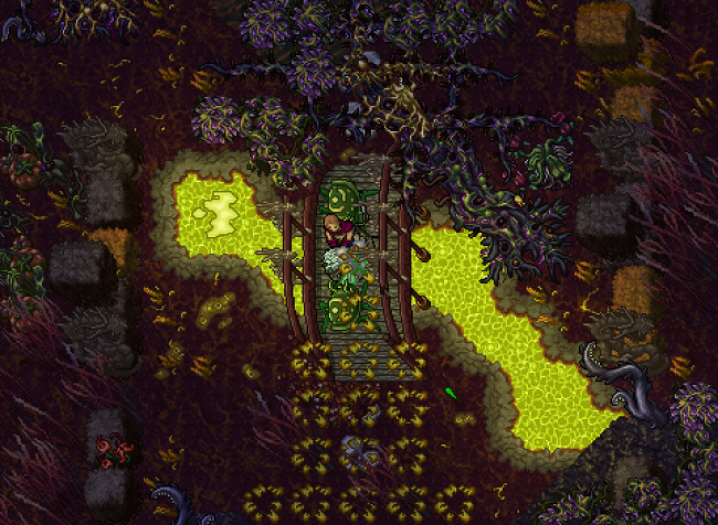 Novos Golpes em Tibia: A Vocação Monge Chega para Revolucionar o Jogo!