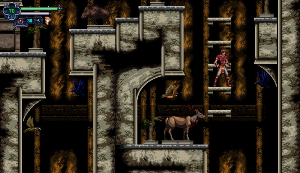 Chronicles Of The Wolf | Review