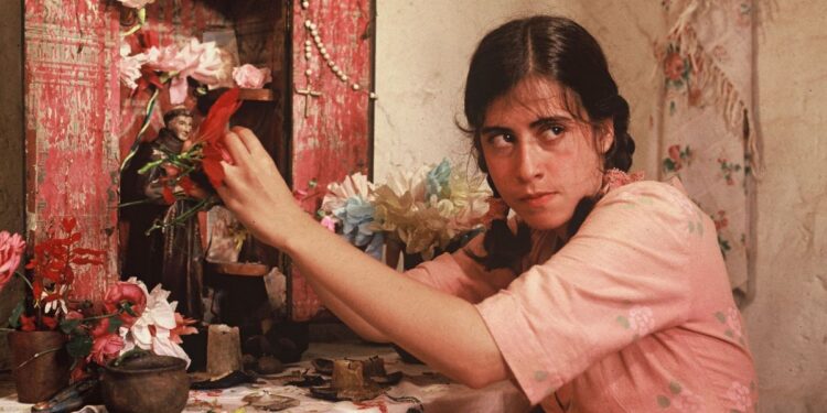São Paulo Food Film Fest 2025: Onde o Cinema Alimenta o Corpo e a Alma