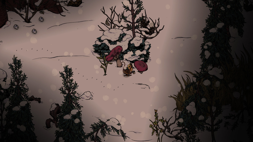 Winter Burrow | Review
