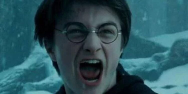 Harry Potter | Cantor brasileiro terá que mudar nome artístico após notificação da Warner