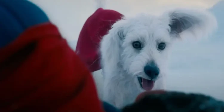 Krypto da DC ganha série animada própria