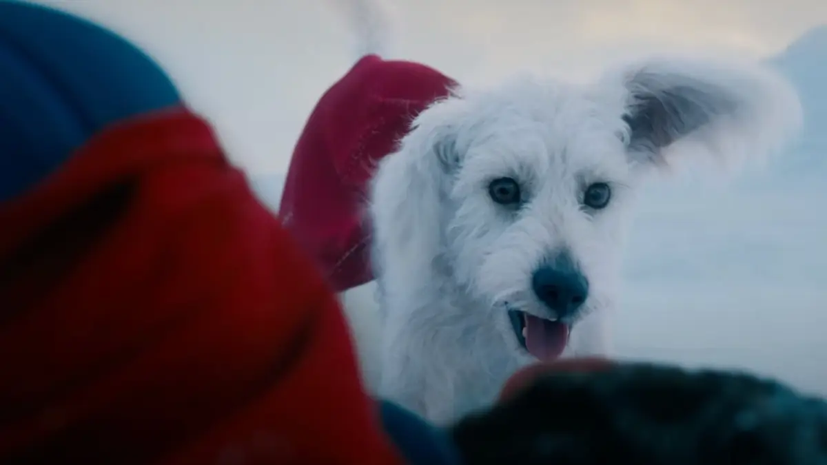 Krypto da DC ganha série animada própria